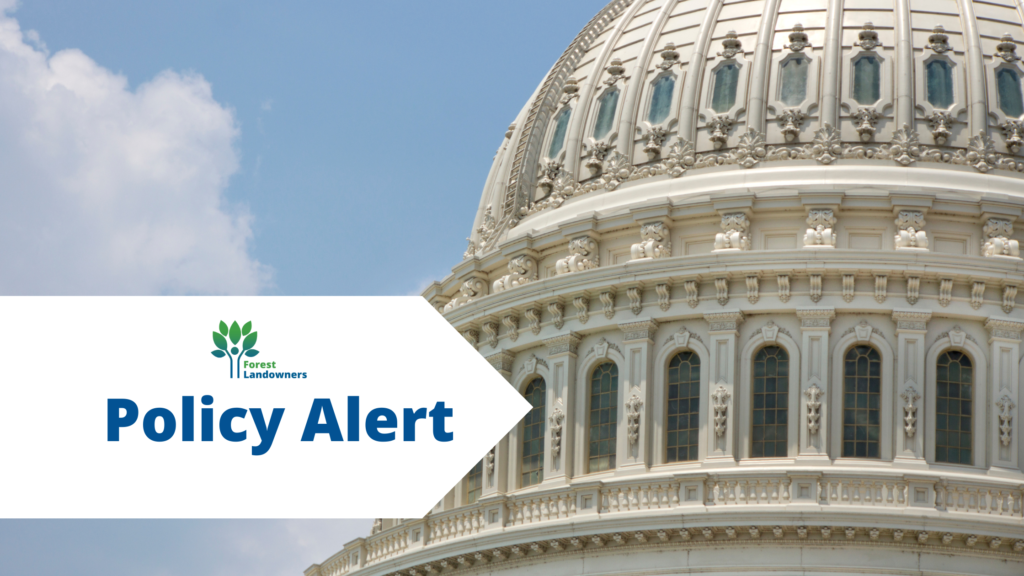 House Tax Bill Introduced to Help Forest Landowners Recover Forest